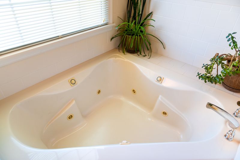 Top Bathtub Installation Companies in Novi, MI